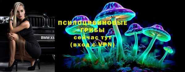 прущие крисы Белоозёрский