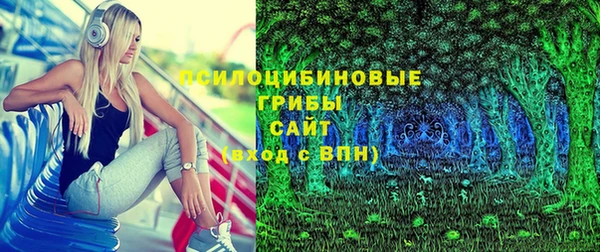 прущие крисы Белоозёрский