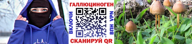 Галлюциногенные грибы ЛСД  Куртамыш 